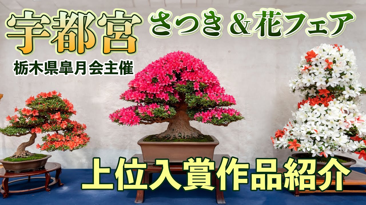 花摘みの連作 The 52nd Satsuki & Flower Fair, introduced the top prize-winning
