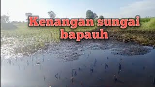 Sungai Bapauh Batalas Kalsel