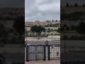 Wall of old Jerusalem/ Гефсиманский сад #Иерусалим #Jerusalem #ירושלים #Israel #израиль #мир