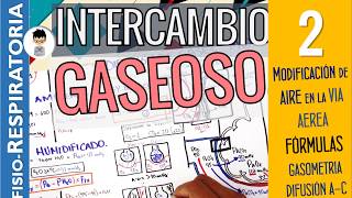 Incluyendo son se los donde gases capilares intercambian