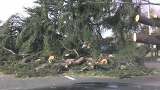 Wind Damage Dec 1-2011