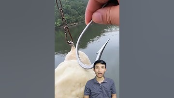 Câu cá khổng lồ dùng lưỡi câu khủng #cacconvat #docla #fishing