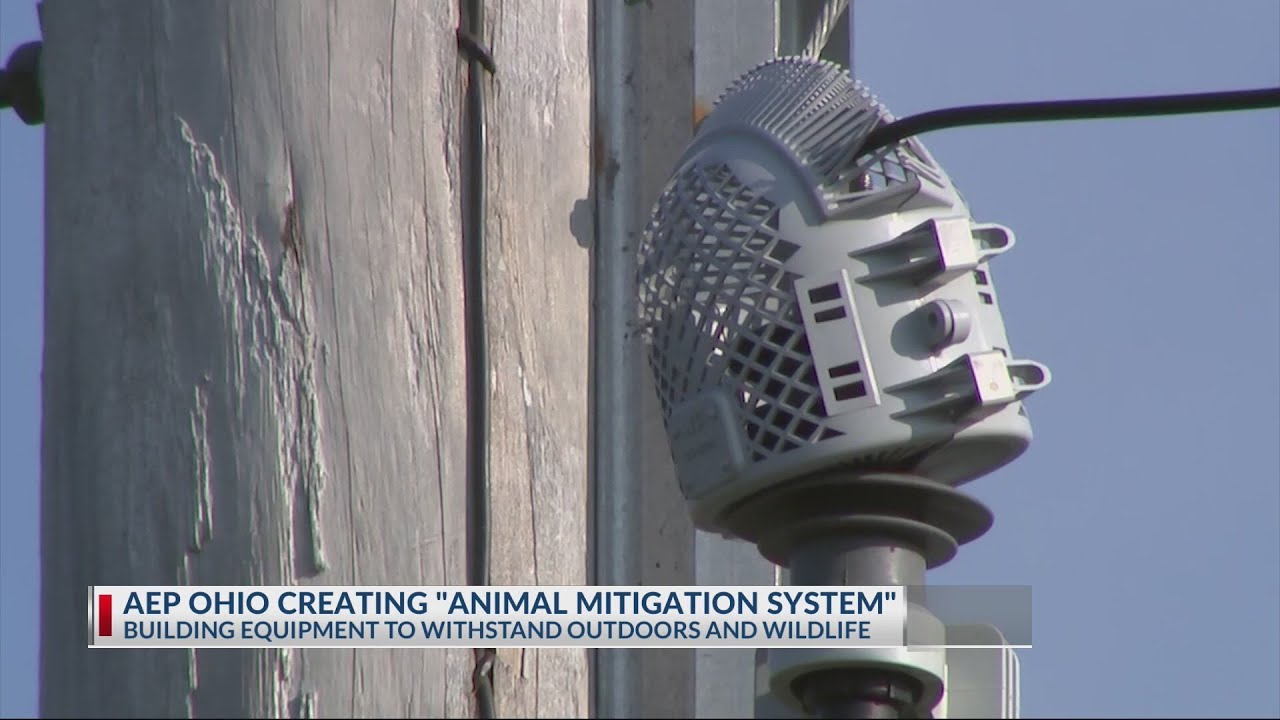 Why AEP Ohio is reporting fewer power outages this year