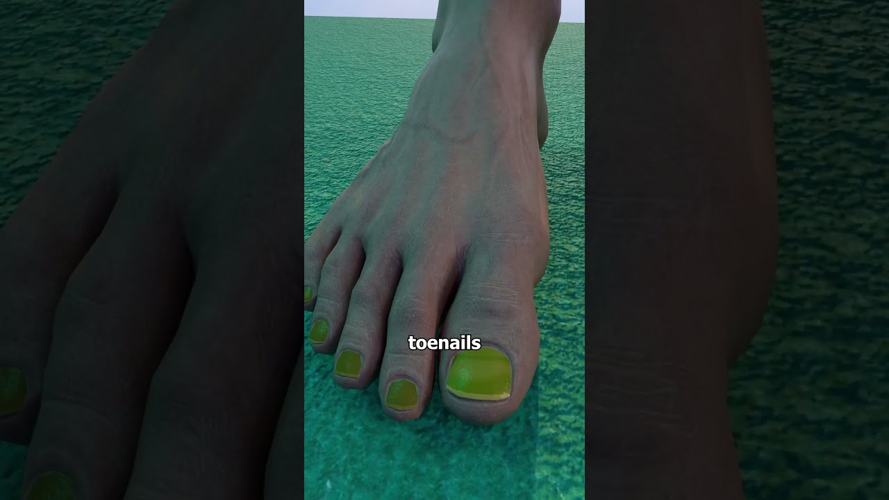 Why Do Toenails Get Thicker 