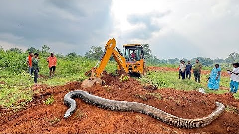 JCB 3dx Backhoe Loading Mud in Mahindra 475 Di tractor JCB miti Khudai #jcb #jcbvideo