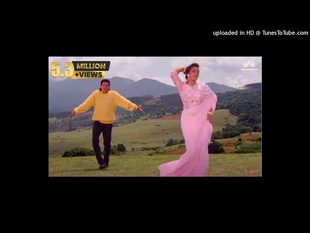 Hum Teri Mohabbat Mein _ Phool Aur Angaar (1993)_ Mithun Chakraborty _ Shantipriya _ Kumar Sanu Hits class=