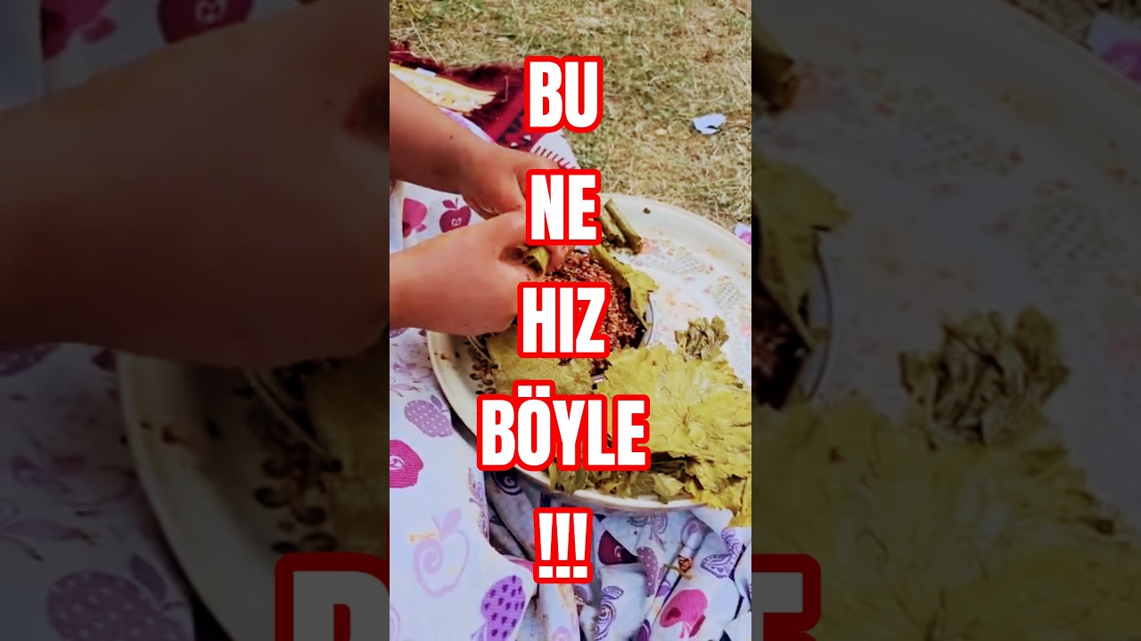 Yaprak Sarmada Dünya Rekoru? 🏆İzlerken Başınız Dönecek! #shorts #yapraksarması #pratikyemek  #viral