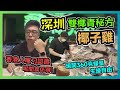 深圳「雙椰青秘方椰子雞」蔡椰大椰子雞🐔 ！現開360克蠔皇 生蠔自由🦪！「走地雞+龍躉+吊籠」無敵組合🥢！香港人嘴刁認證：呢間真係得😱！