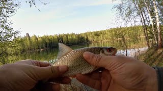 Ловля на летнюю мормышку с боковым кивком Новые горизонты