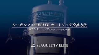 SEAGULL IV 交換カートリッジ RS-D21SG H Amazon | シーガルフォー (Seagull IV) 浄水器 旧シーガルフォー