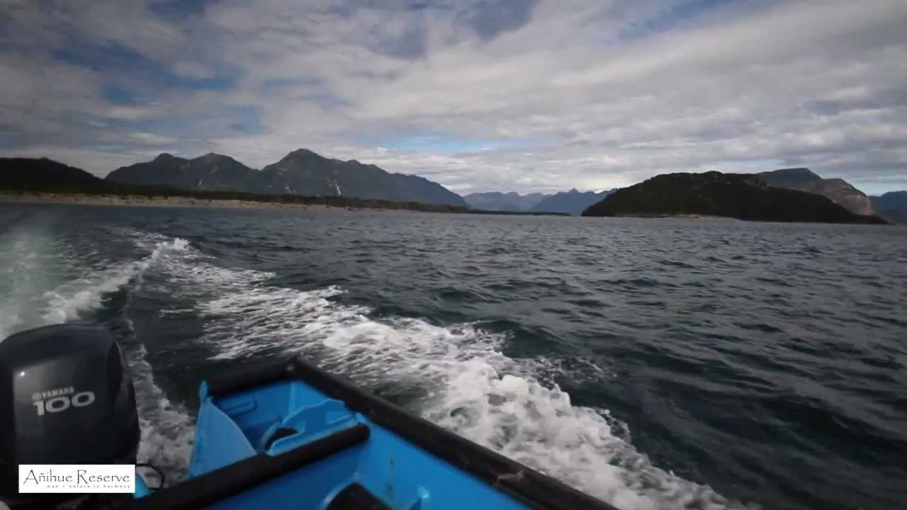 Visita a mi hermano Felipe a la Reserva Anihue. - YouTube