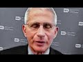 Dr. Fauci Admits Tragic Reality About Pandemic Deaths