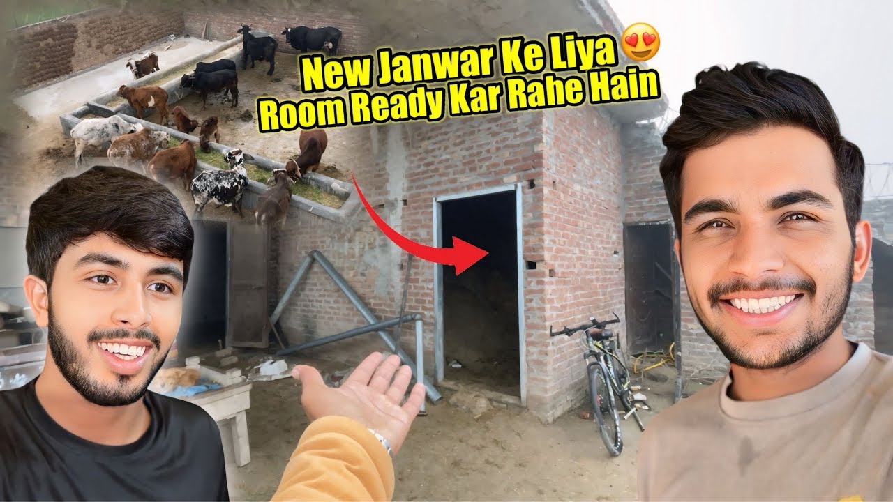 New Janwar Ke Liya 😍Room Ready Kar Raha Hain 🛖 | Zohaib Pendu | Saqlain Pendu 