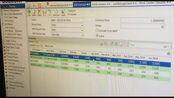 Production Capacity Forecasting Enhancement in DEACOM ERP