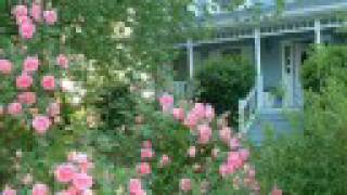 Rose Bliss (With Music by Ginmillsinger Bill) screenshot 5