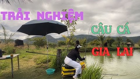 Trải nghiệm câu hồ dịch vụ ở Gia Lai