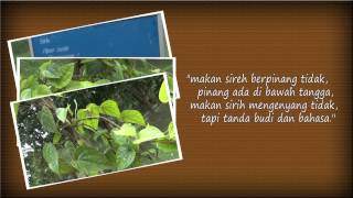 INSTITUT ALAM DAN TAMADUN MELAYU