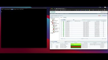 Siemens Sinema v.14 RCE
