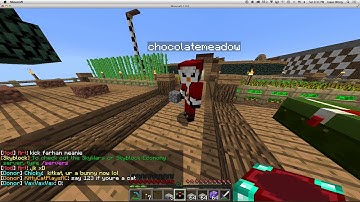 Scammer in skyblock.net
