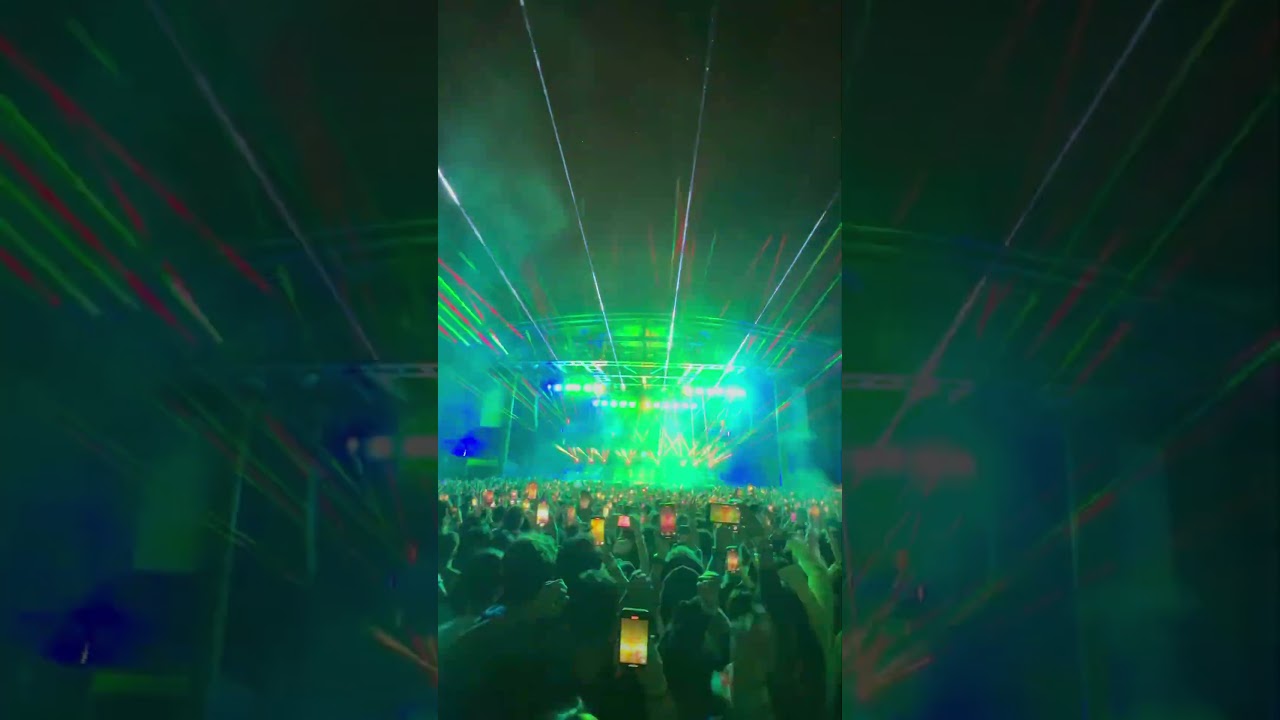 Dabin Live @ Stay in Bloom 2025 - David Guetta - Titanium (ft. Sia) Mashup 