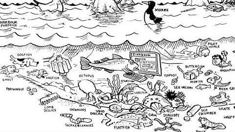 Manuel Lima   The Power of Networks