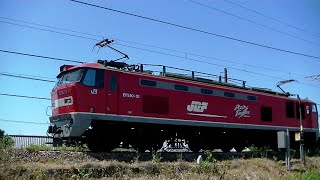 レッドサンダーEF510-21牽引高速貨物4091レ 吹田→東青森→札幌