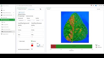 CUSTOM COLOR PALETTES IN PLIMANSHINY TO QUANTIFY DISEASE SEVERITY