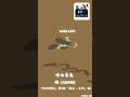 崎山蒼志 Soushi Sakiyama 燈 Akari Verse Pre Chorus 呪術廻戦 第2期 懐玉 玉折 ED 崎山蒼志 Soushi Sakiyama 燈 Akari Verse Pre Chorus 呪術廻戦 第2期 懐玉 玉折 ED
