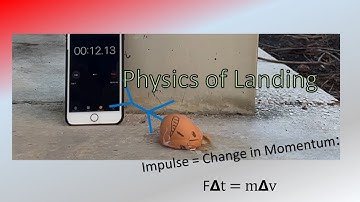 The Physics of Landing