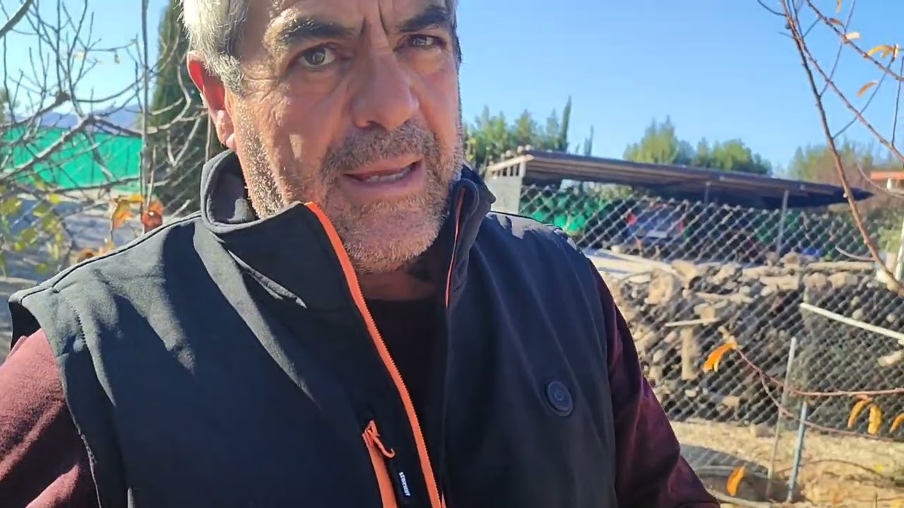 Primeros pasos para la formación de nuestros árboles https://bit.ly/41kPAPG