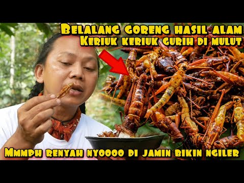 Belalang Goreng