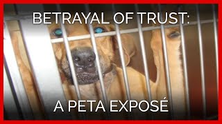 Betrayal of Trust: A PETA Exposé