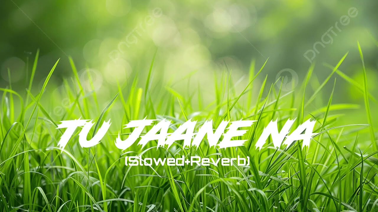 Tu Jaane Na (Slowed + Reverb) | Arijit/Atif Vibes | Heart Touching LoFi | Sad  Song|‎⁨@SukunLofi1⁩  