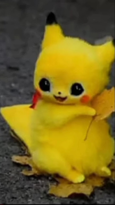 Pika PI Pikachu pika pika pikachuuu...... Soooo cute...?!.... #funny #cute #funnycute 😍🥳