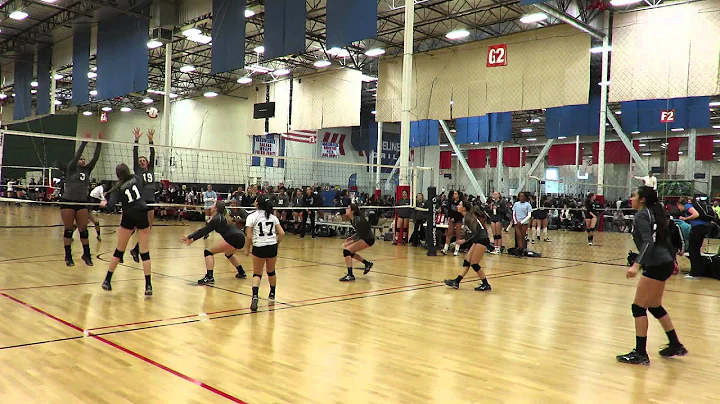 Sara Allison Highlight Video (Jersey #11)