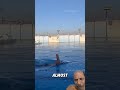 #swimming #smooth freestyle#swimmer#youtubeshorts