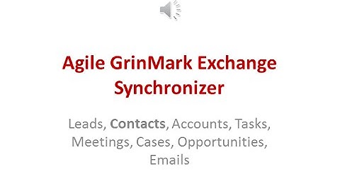 Agile GrinMark Exchange Synchronizer Demo
