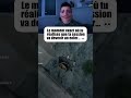 Une mauvaise surprise sur Crimson Desert ! TWITCH:FAYK66 #gamingfr #twitchfr #streamerfr #clips
