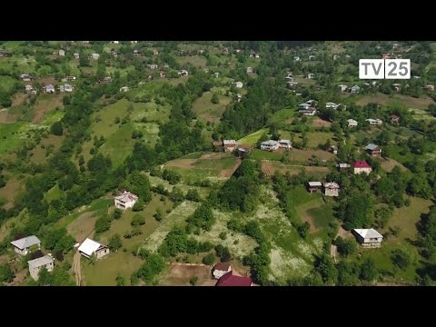 \"TV 25\"-ის სიუჟეტის გამო, საჯარო მოხელე სამსახურიდან გაუშვეს