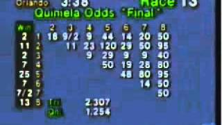AHK Ardkill Tess (# 7) Sanford Orlando Grade B 11.15.10.wmv
