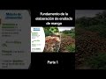 Fundamento de uso de mango en la elaboración de ensilado