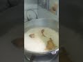 রুই পোস্ত#shorts #funny
