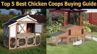 chicken coops cop