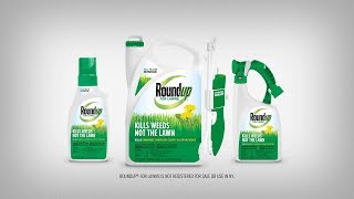 How to Use Roundup® For Northern Lawns Products Properly to Kill Weeds in Your Lawn