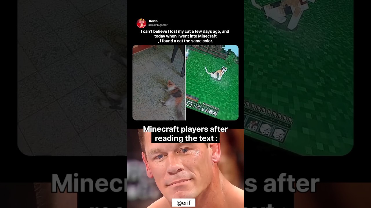 Minecraft is not just a game. 