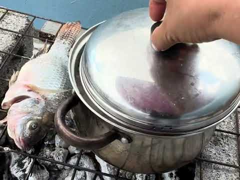 Grilled fish in charcoal
