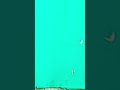 bro just teleport