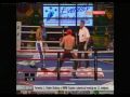 Mecz kick-boxingu Polska vs USA , ochw 2009 ( Rewan )