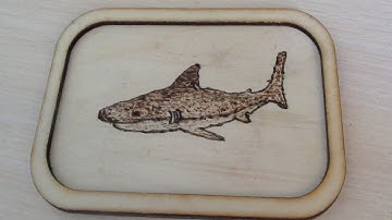 1-й урок выжигания (Выжигаем Акулу).