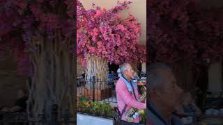 Watch Romantica Mexico video